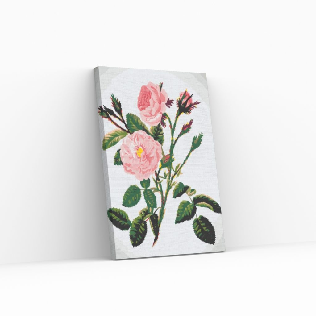 Pintar por Números - Rosas rosas silvestres