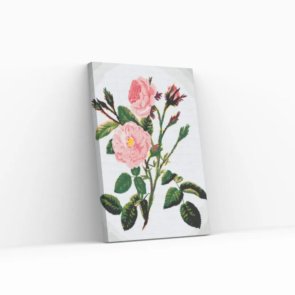 Pintar por Números - Rosas rosas silvestres