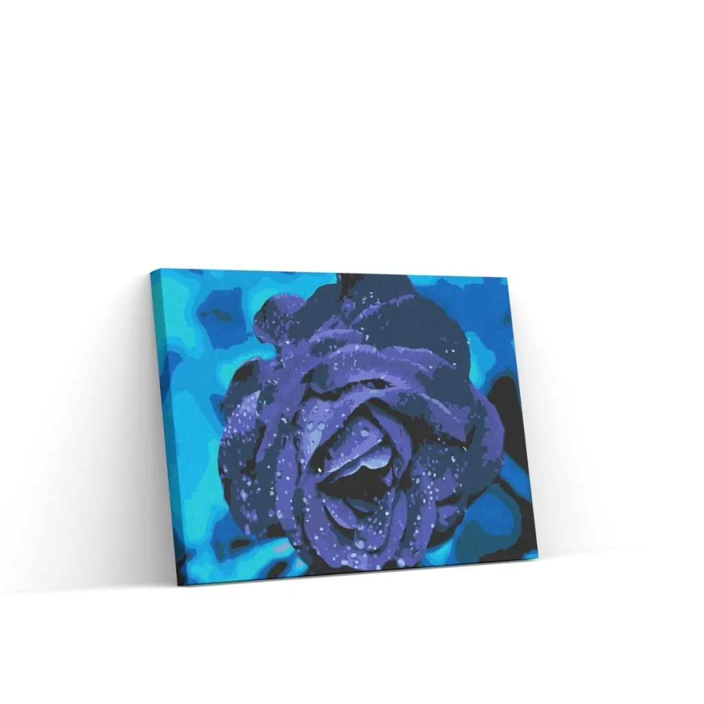 Pintar por Números - Rosa azul