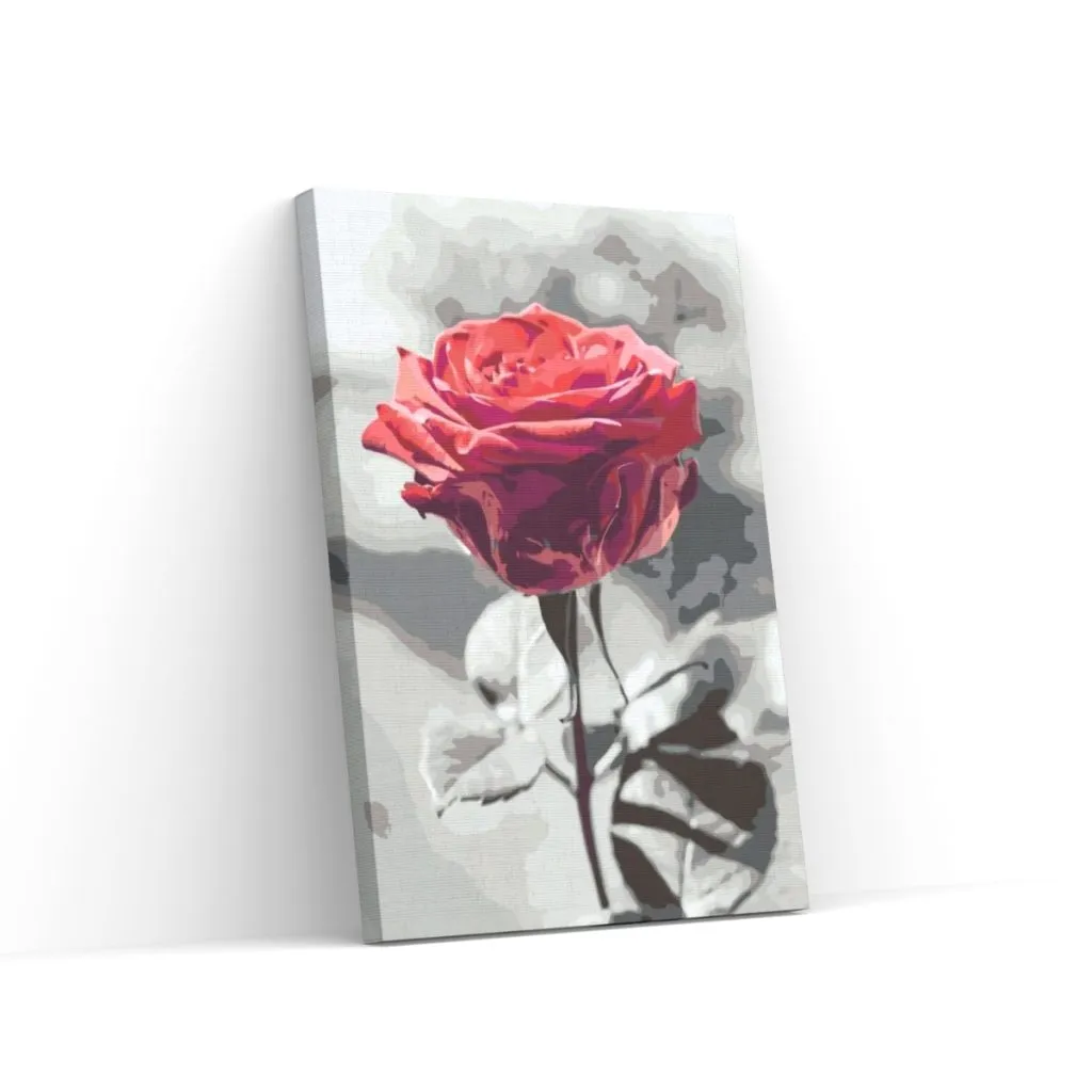 Pintar por Números - Rosa en flor
