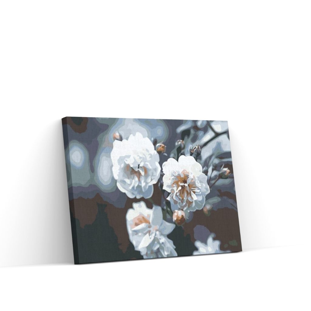 Pintar por Números - Rosas blancas en flor