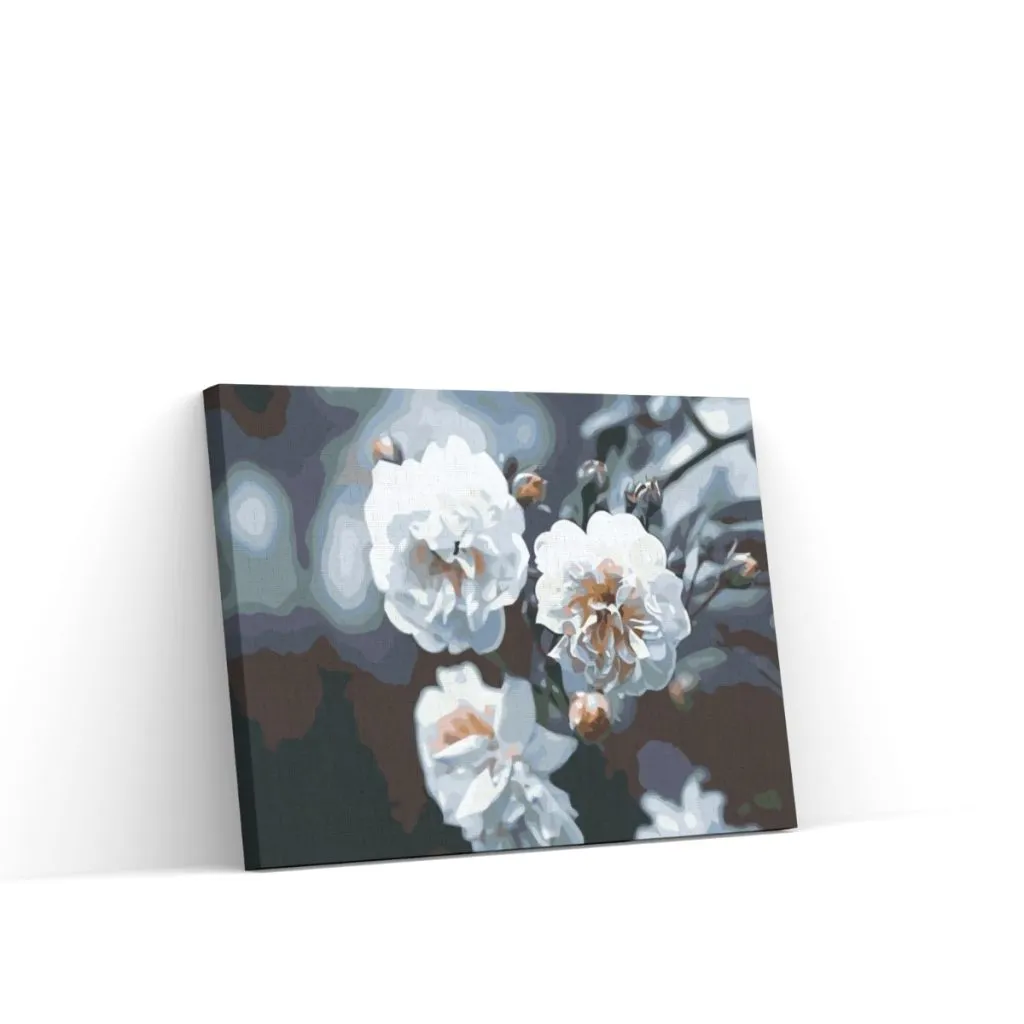 Pintar por Números - Rosas blancas en flor