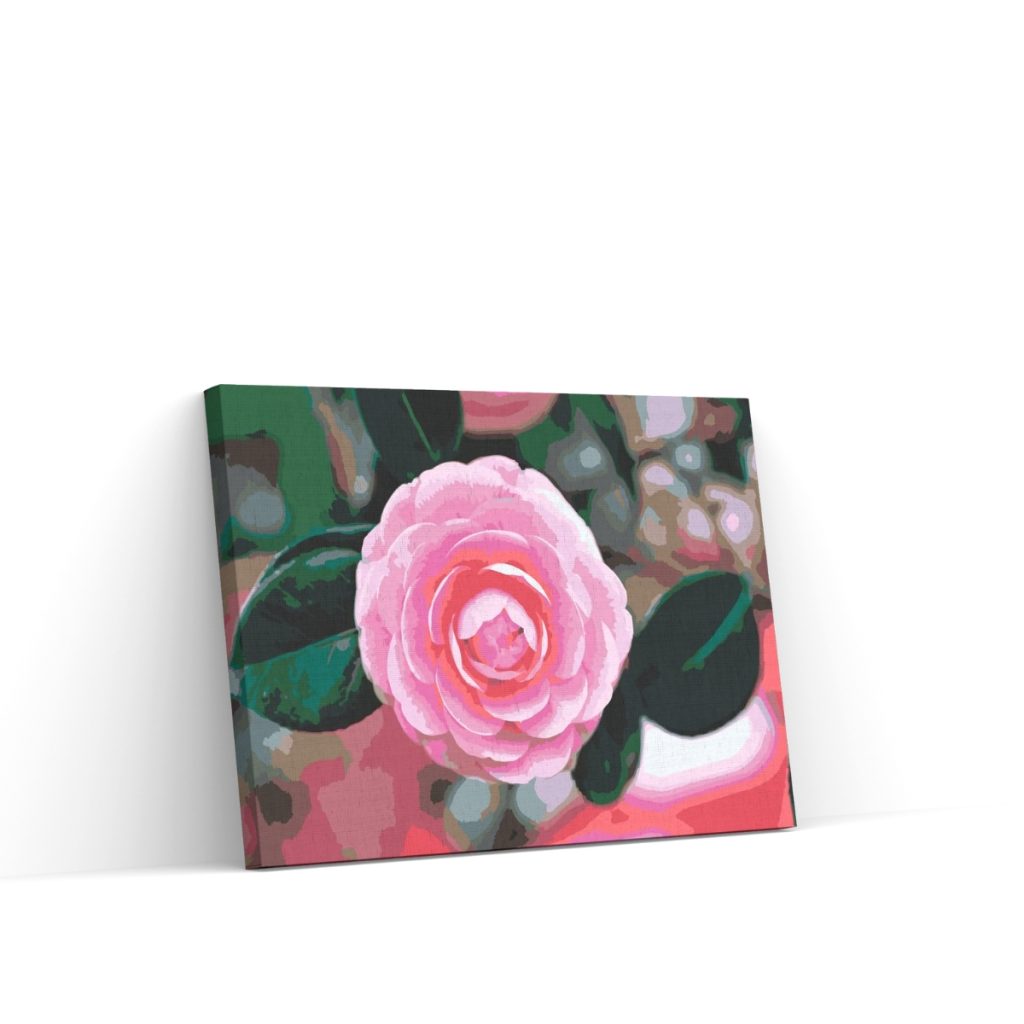 Pintar por Números - Camelia rosa