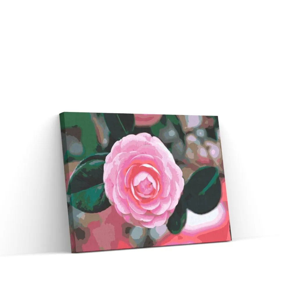 Pintar por Números - Camelia rosa