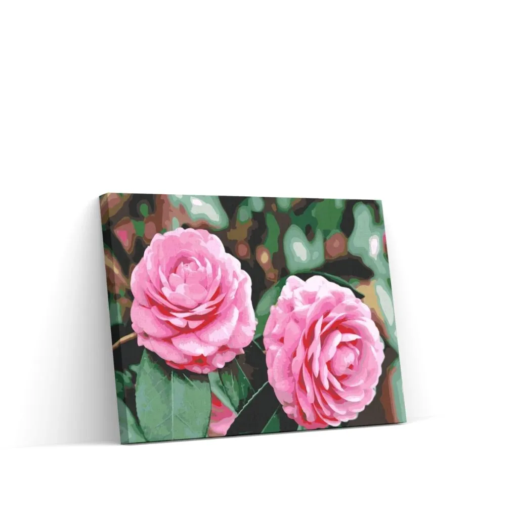Pintar por Números - Camelia rosa
