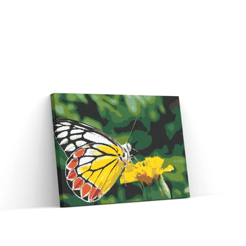 Pintar por Números - Mariposa sobre flor amarilla
