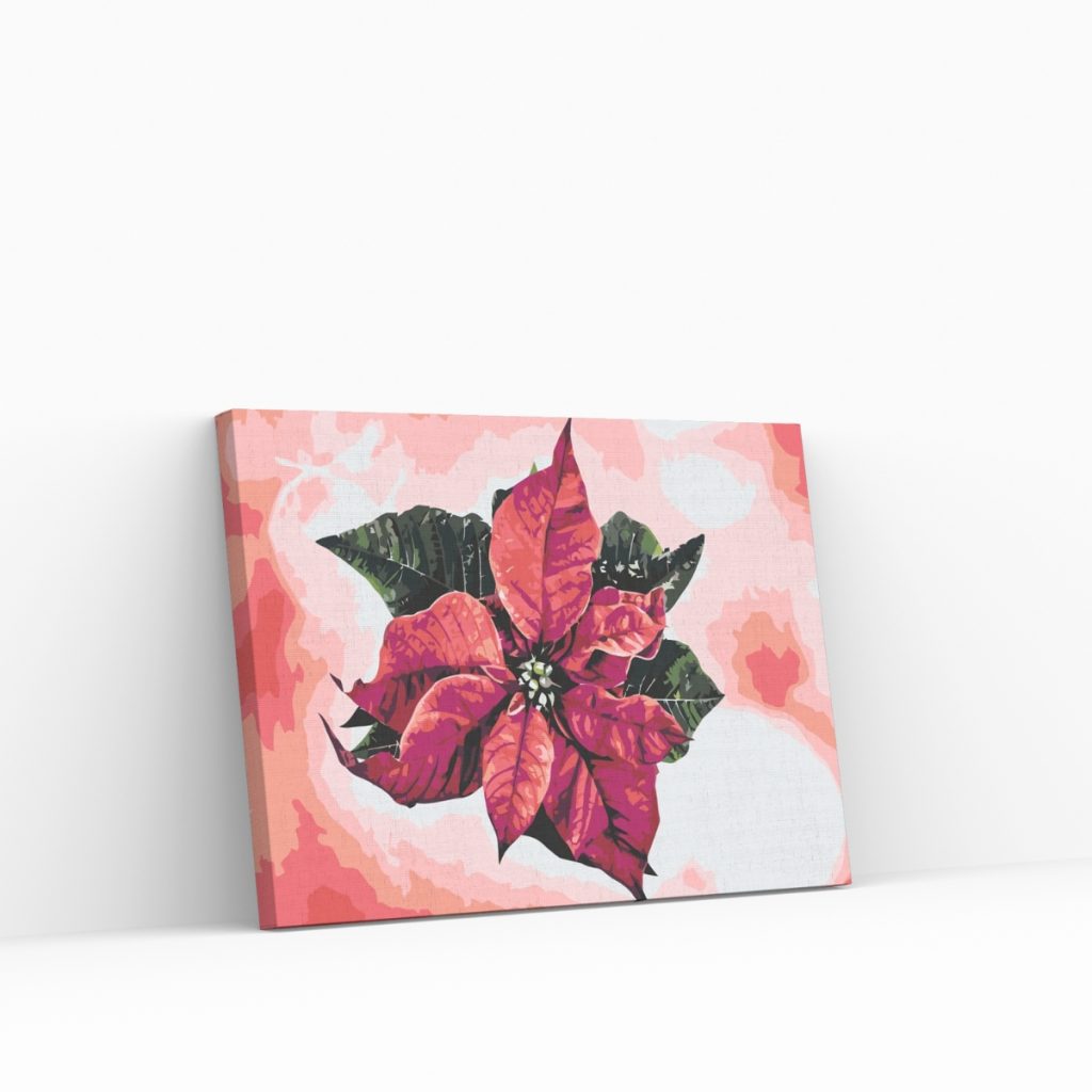 Pintar por Números - Flor de Pascua