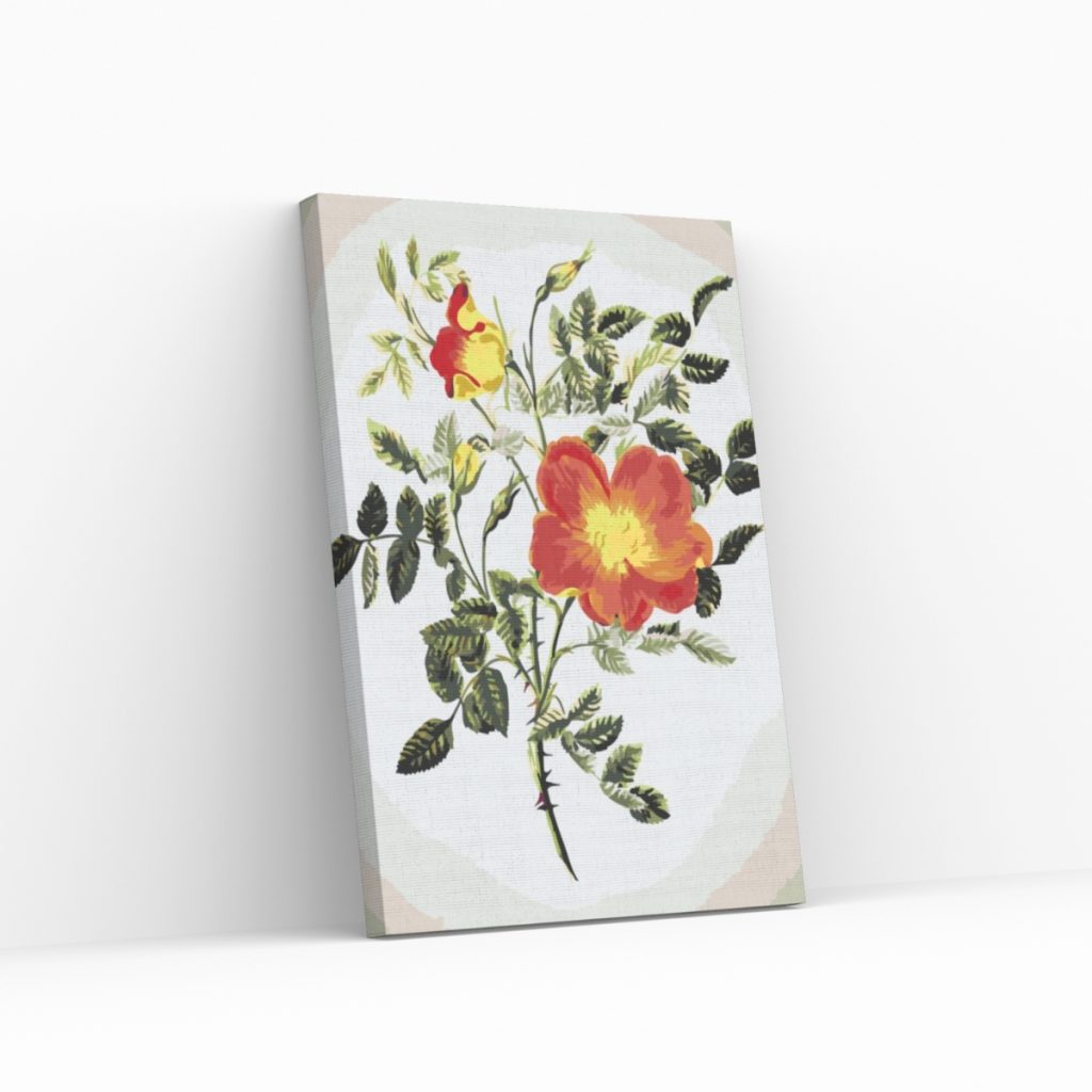 Pintar por Números - Flores vintage VI