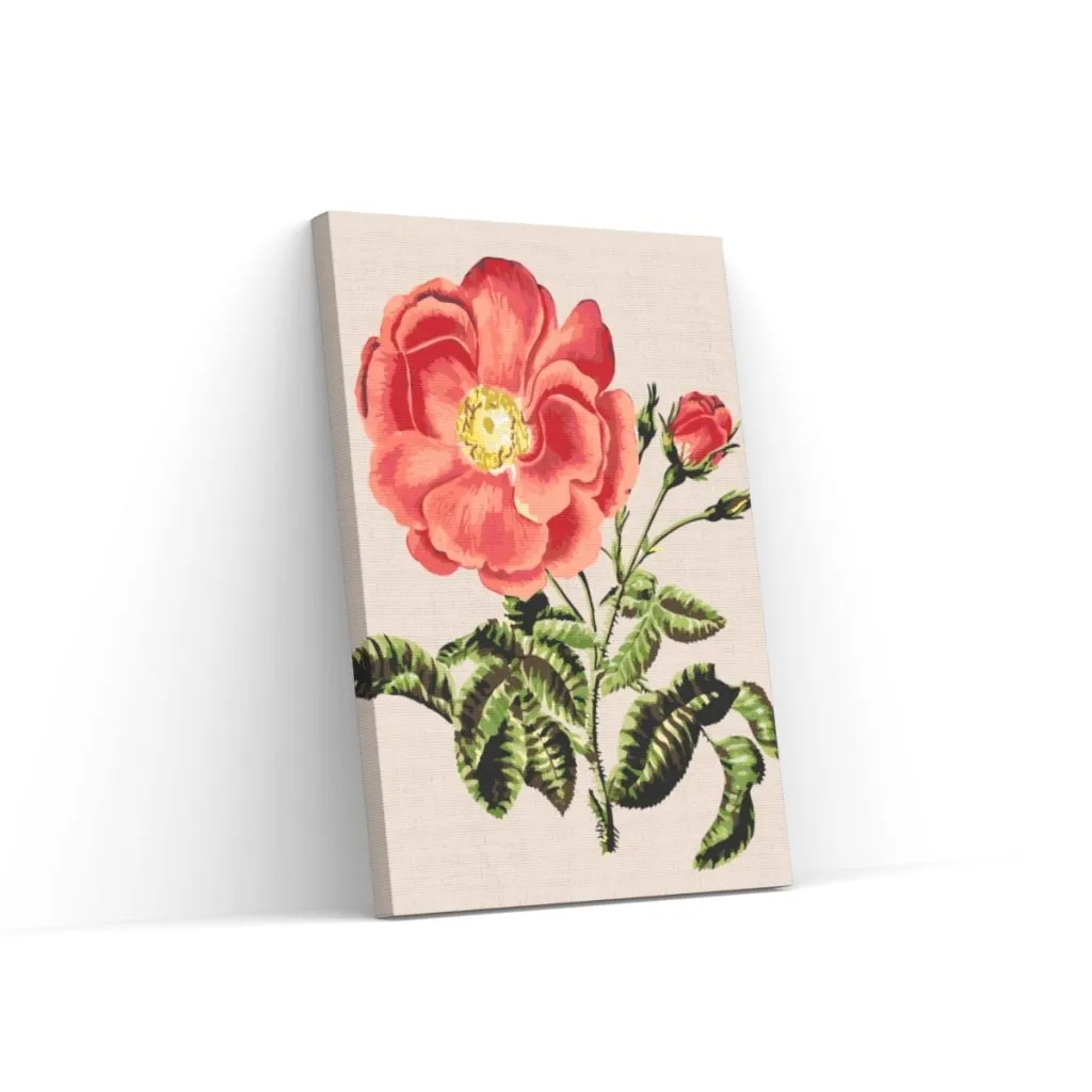 Pintar por Números - Rosas vintage