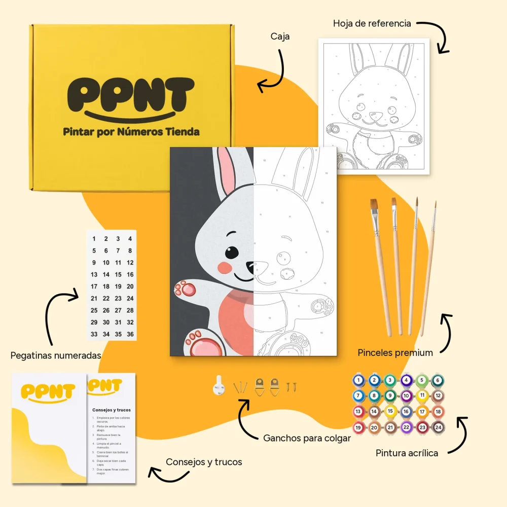 Pintar por Números - Conejo de peluche