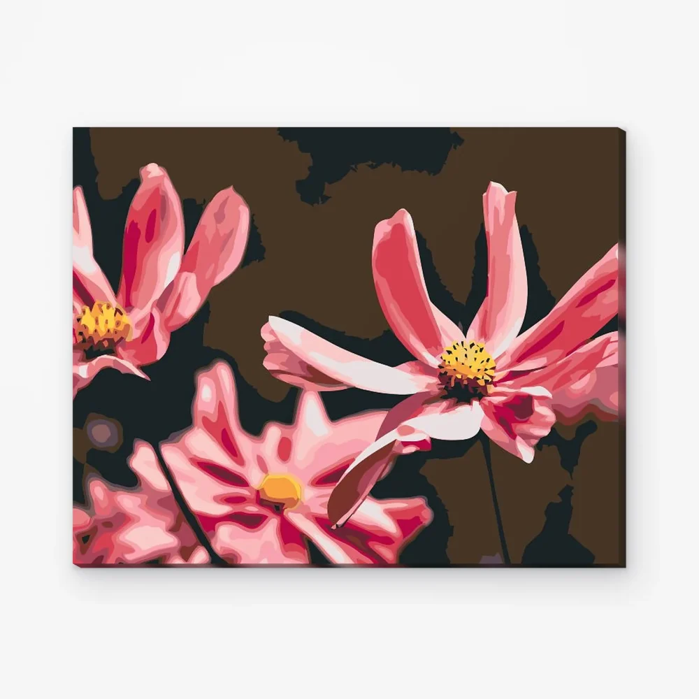 Pintar por Números - Entrega de flores rosas