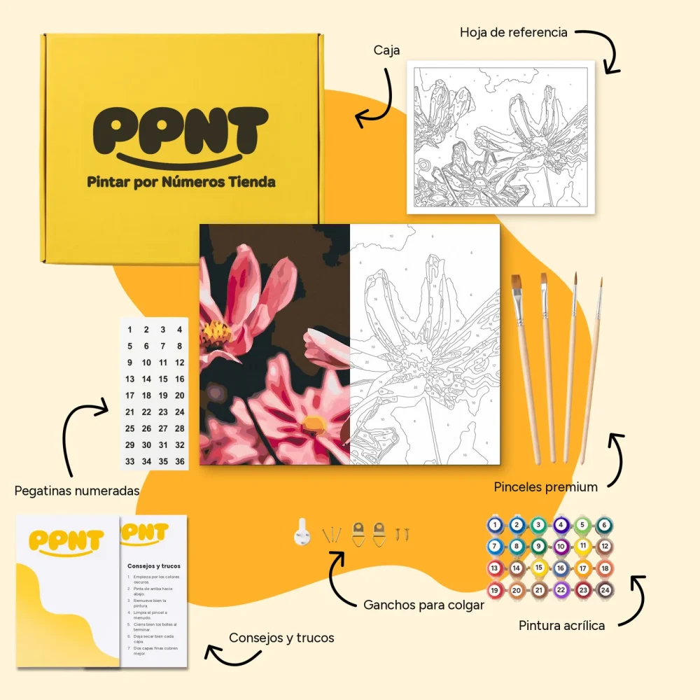 Pintar por Números - Entrega de flores rosas
