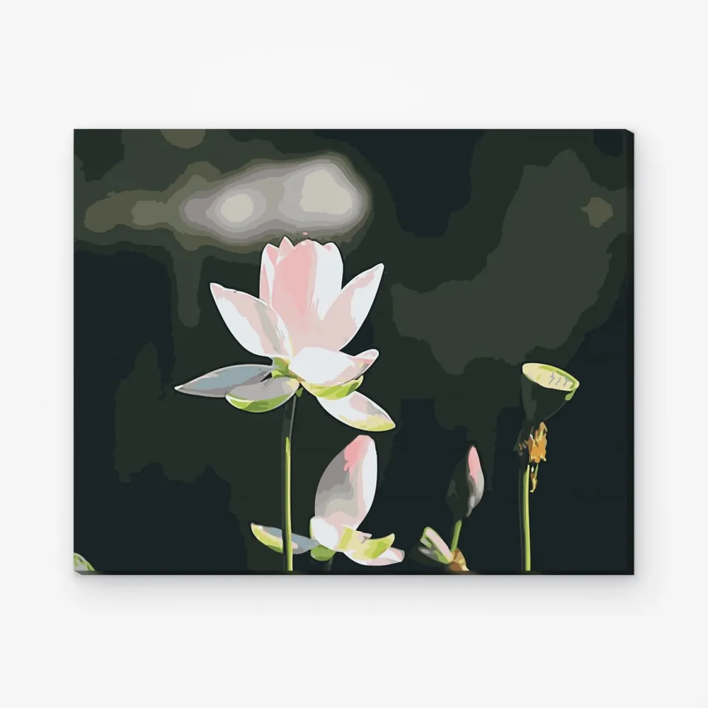 Pintar por Números - Flor de loto