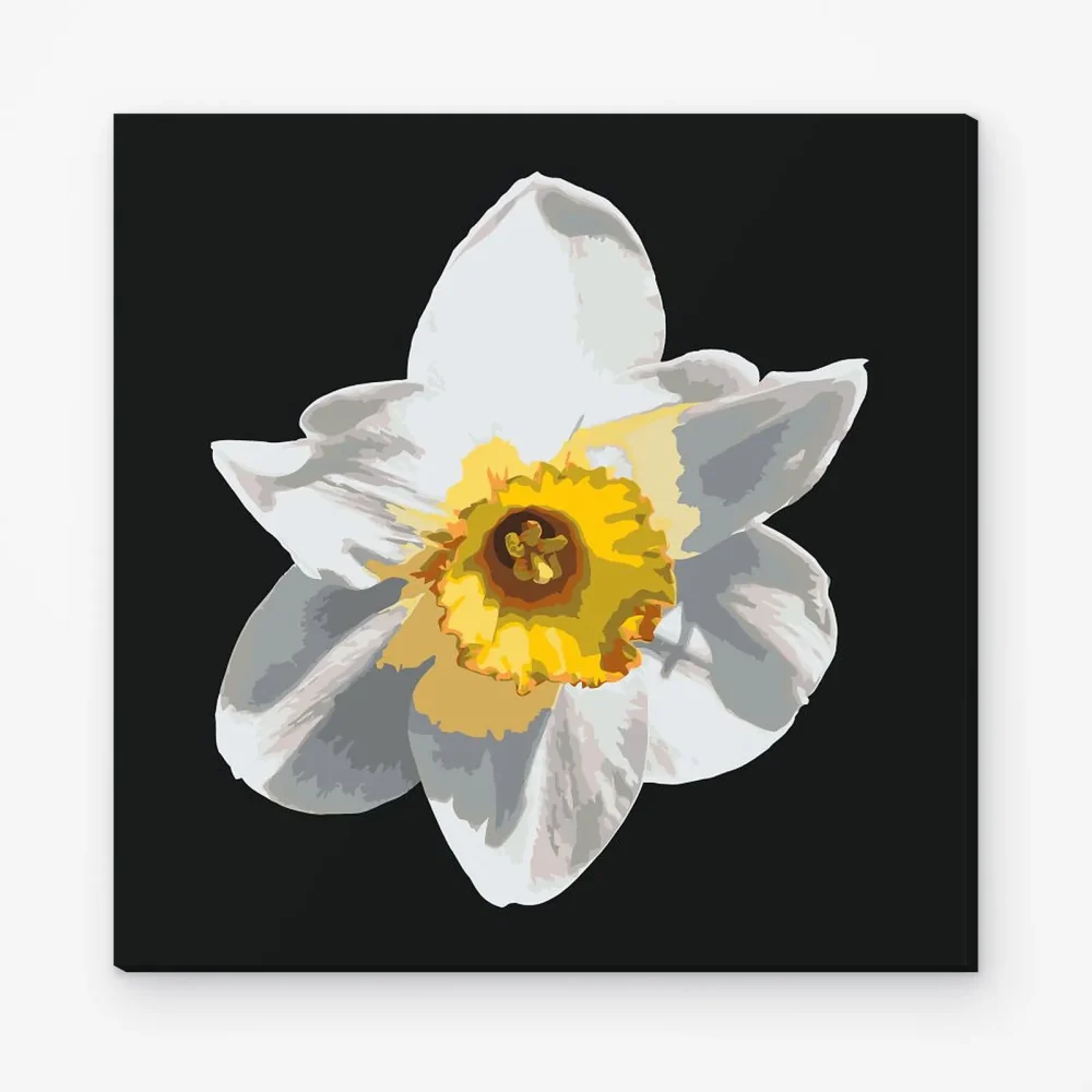 Pintar por Números - Flor de narciso