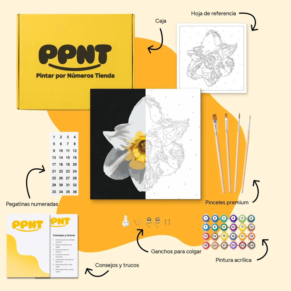 Pintar por Números - Flor de narciso