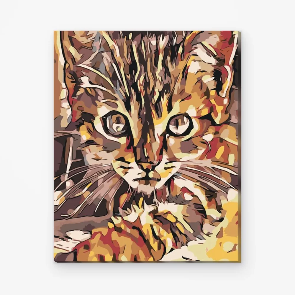 Pintar por Números - Gatito curioso