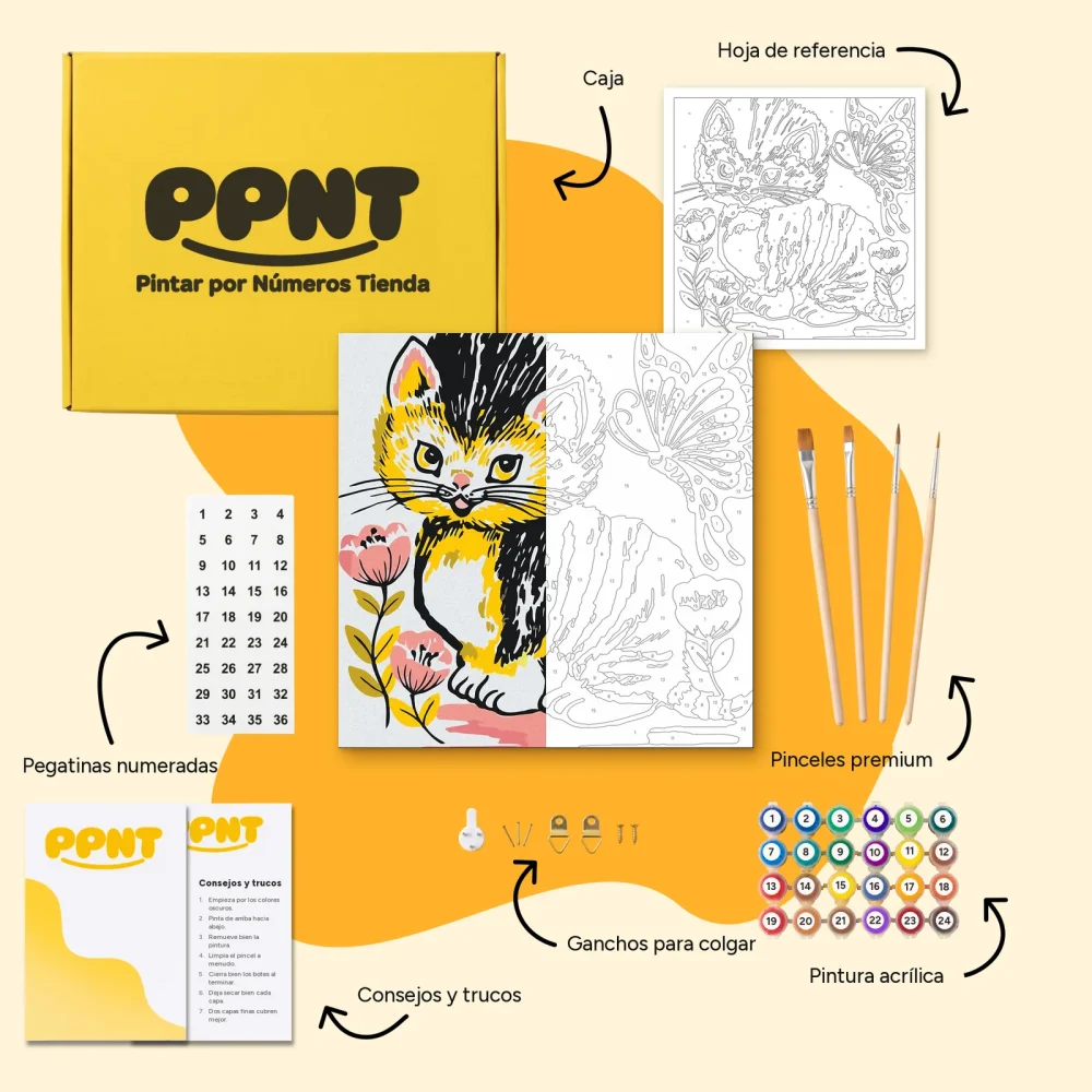 Pintar por Números - Gato con mariposa