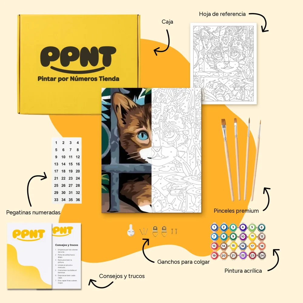 Pintar por Números - Gato detrás de la valla