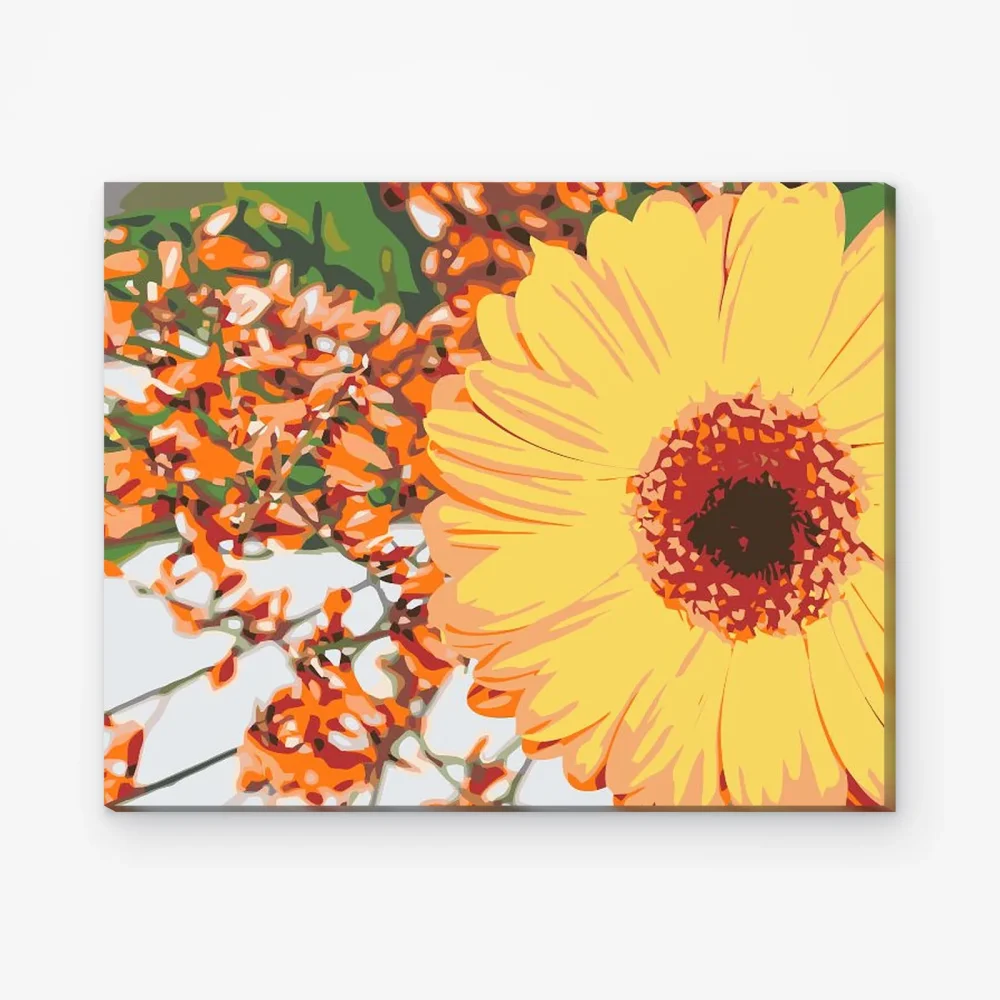 Pintar por Números - Gerbera