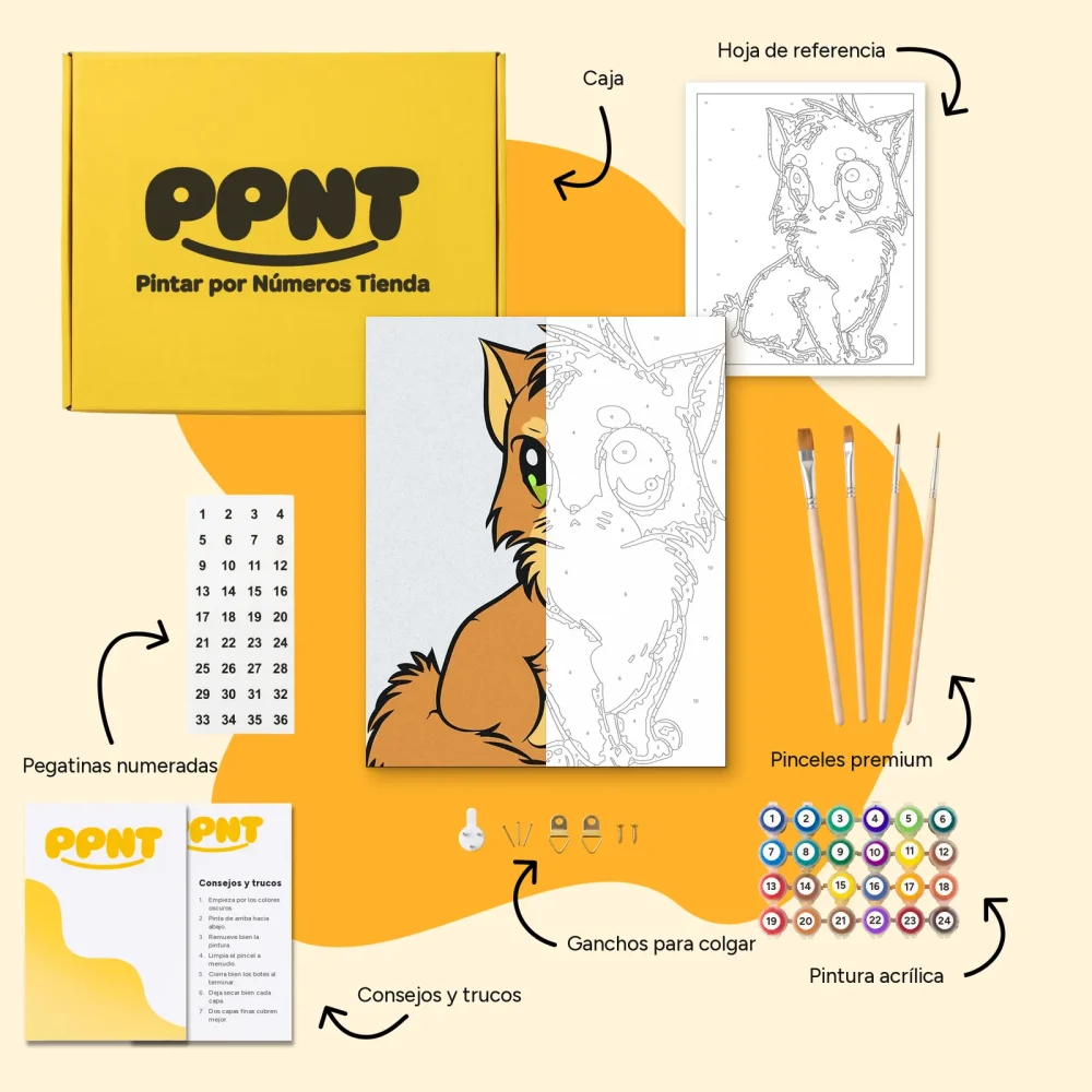 Pintar por Números - Lindo gatito naranja