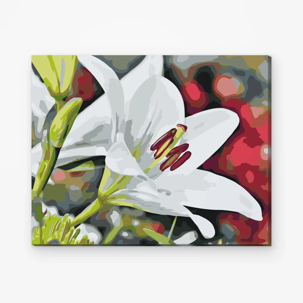 Pintar por Números - Lirio blanco