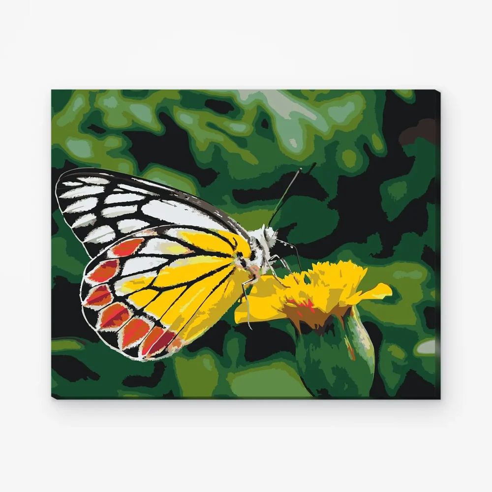 Pintar por Números - Mariposa sobre flor amarilla
