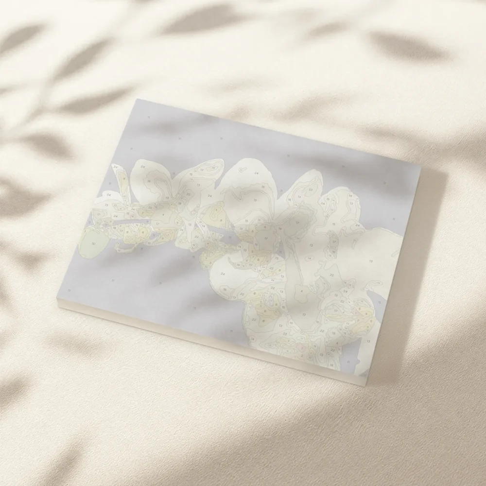 Pintar por Números - Orquídea blanca 2