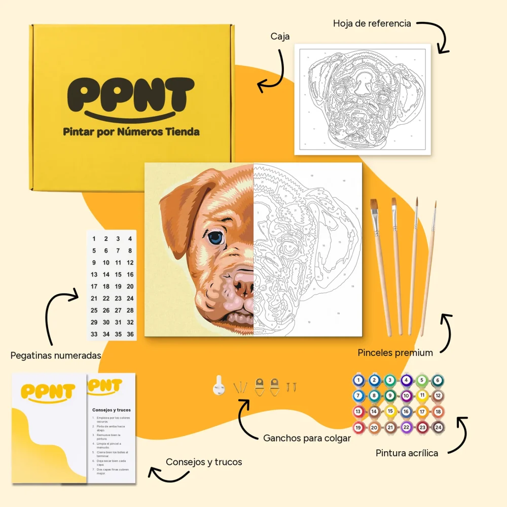 Pintar por Números - Pequeño cachorro