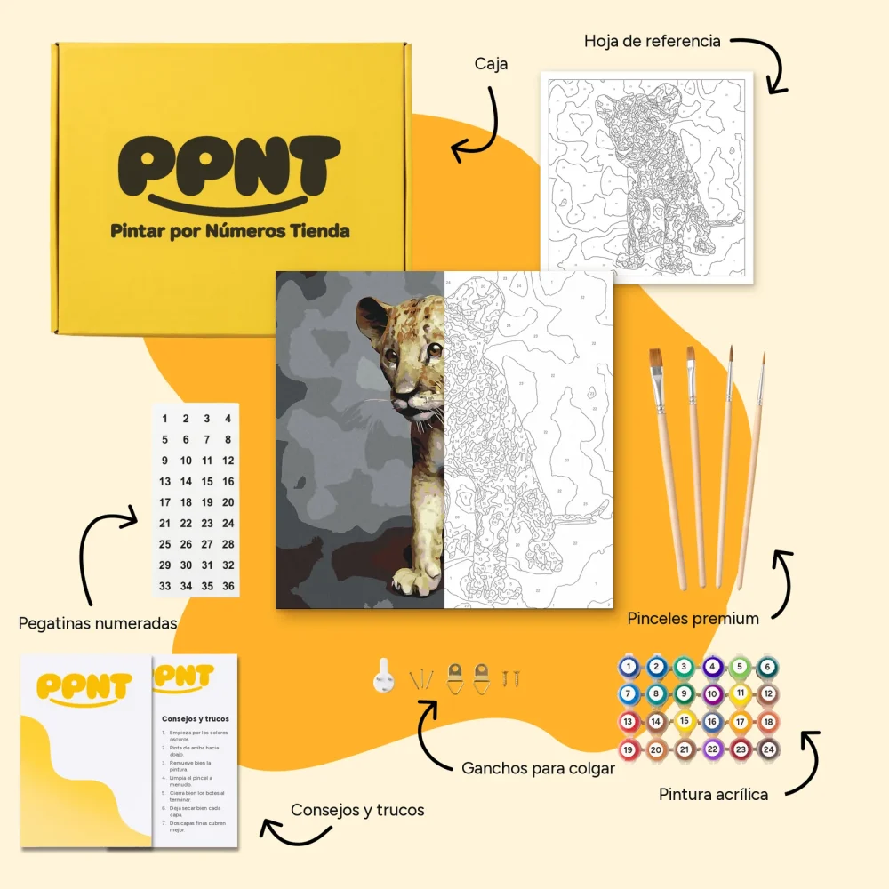 Pintar por Números - Pequeño Simba
