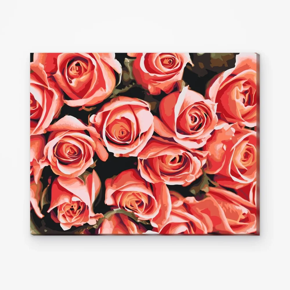 Pintar por Números - Puget de Rosas