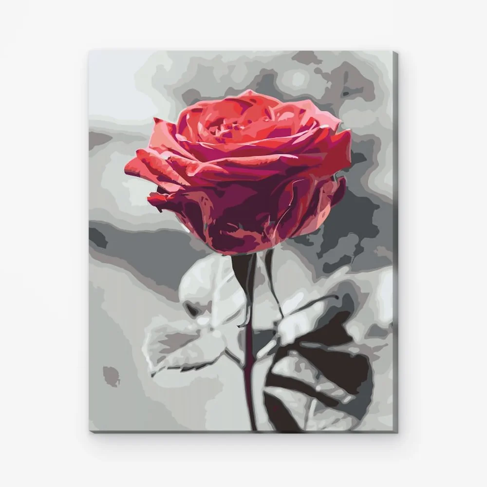 Pintar por Números - Rosa en flor