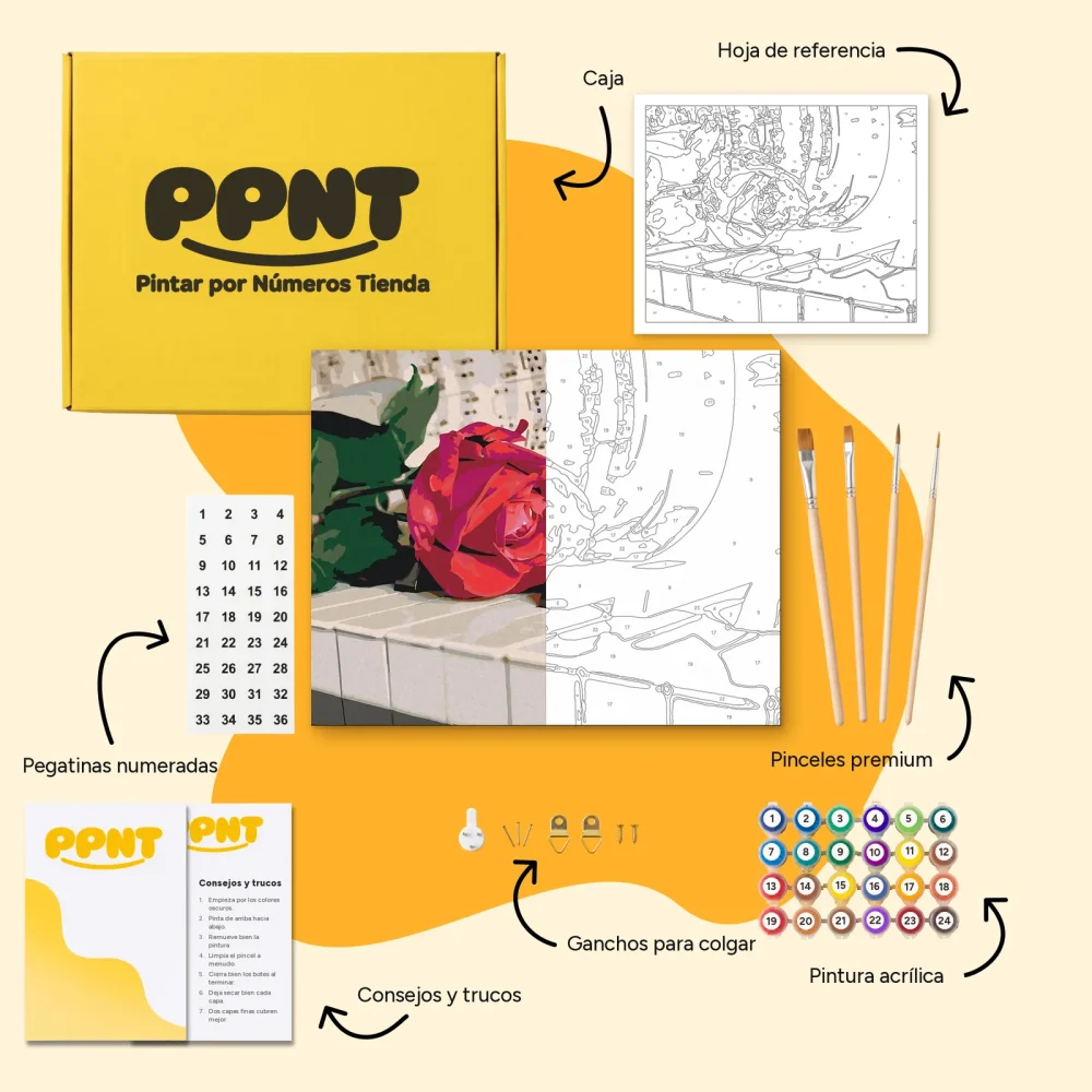 Pintar por Números - Rosas al piano