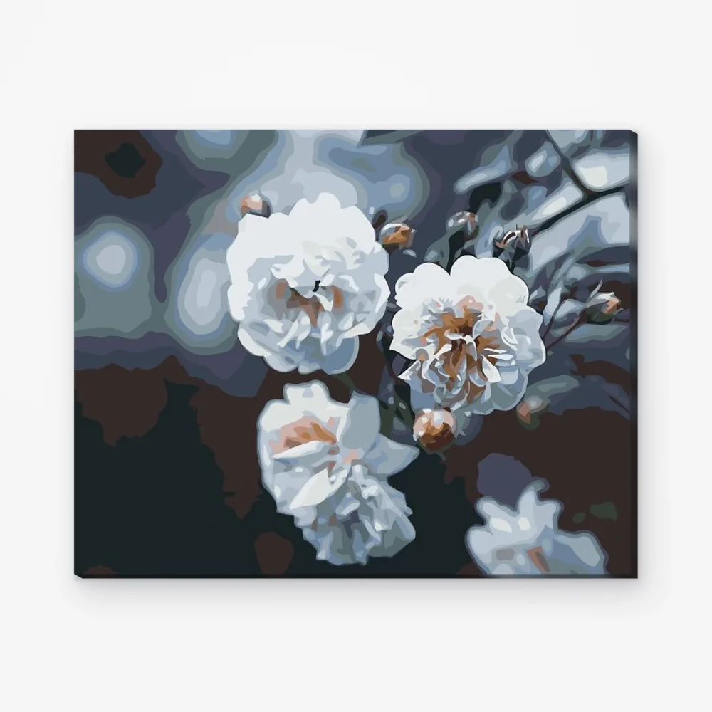 Pintar por Números - Rosas blancas en flor