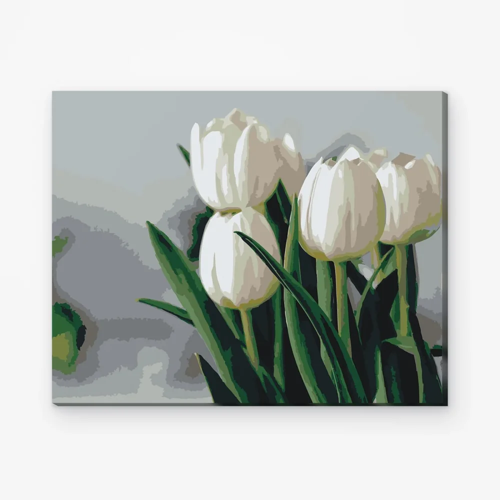 Pintar por Números - Tulipanes blancos