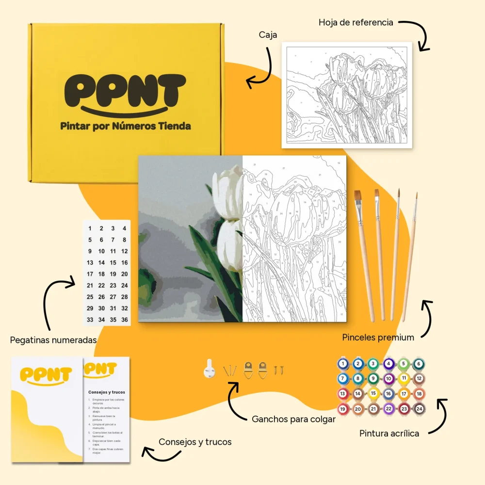 Pintar por Números - Tulipanes blancos