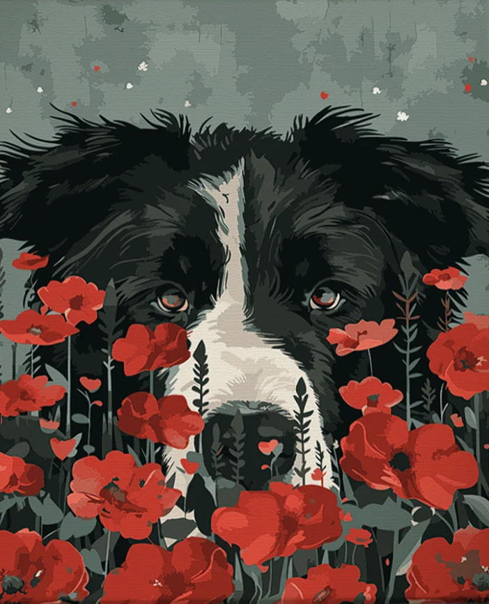 Pintar por Números - Borde en flor