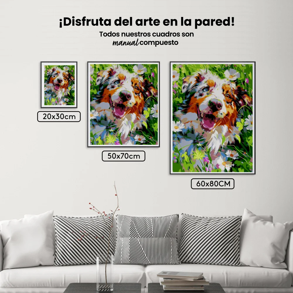 Pintar por Números - Campo australiano