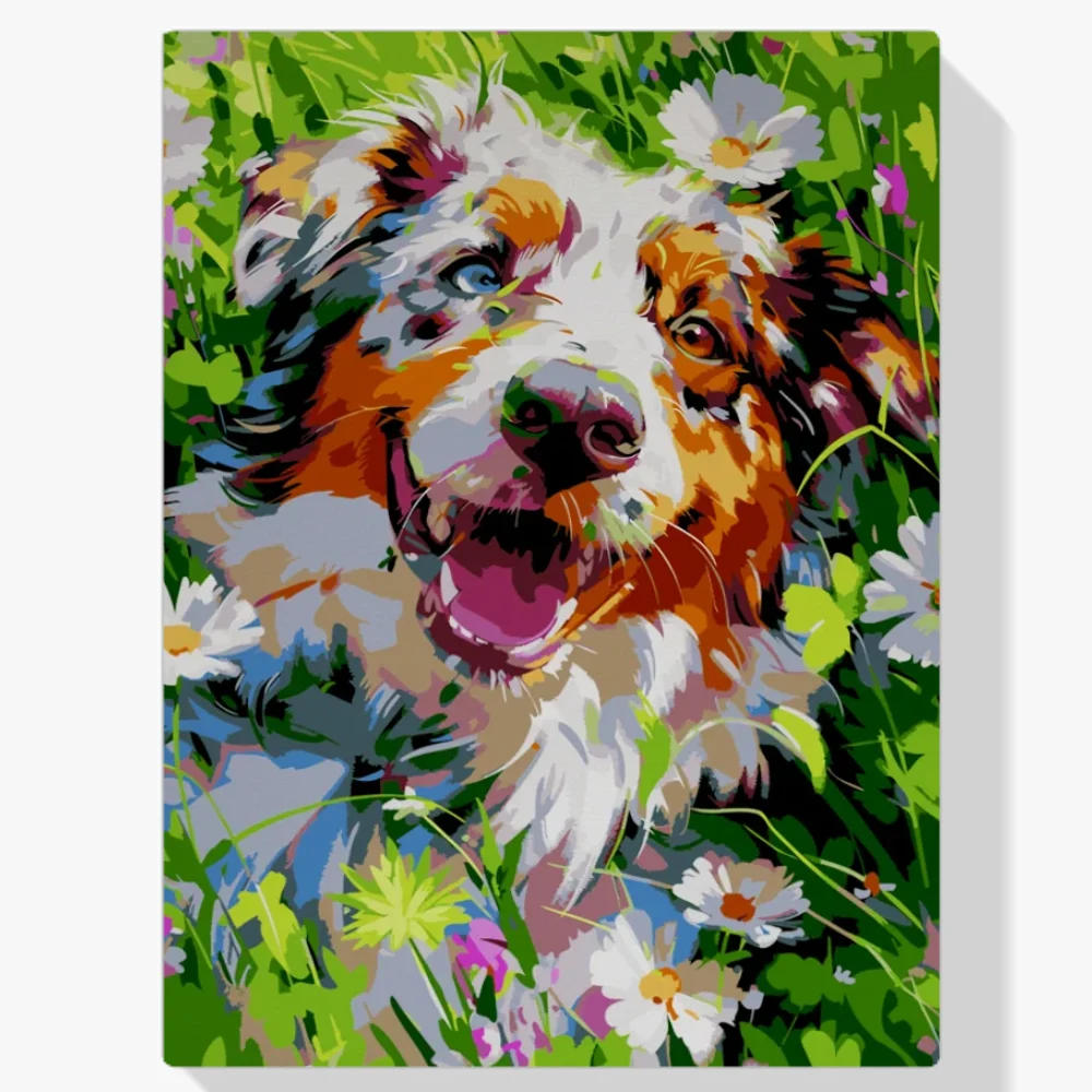 Pintar por Números - Campo australiano