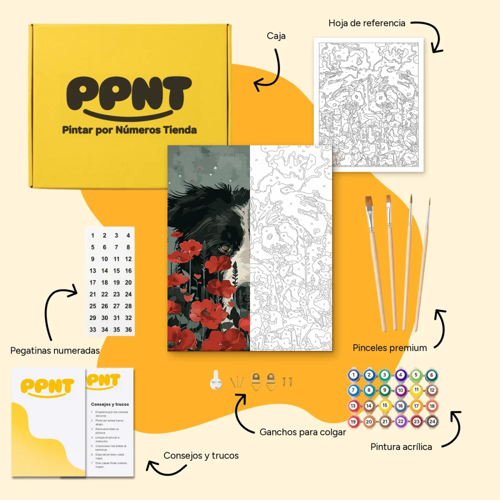 Pintar por Números - Borde en flor