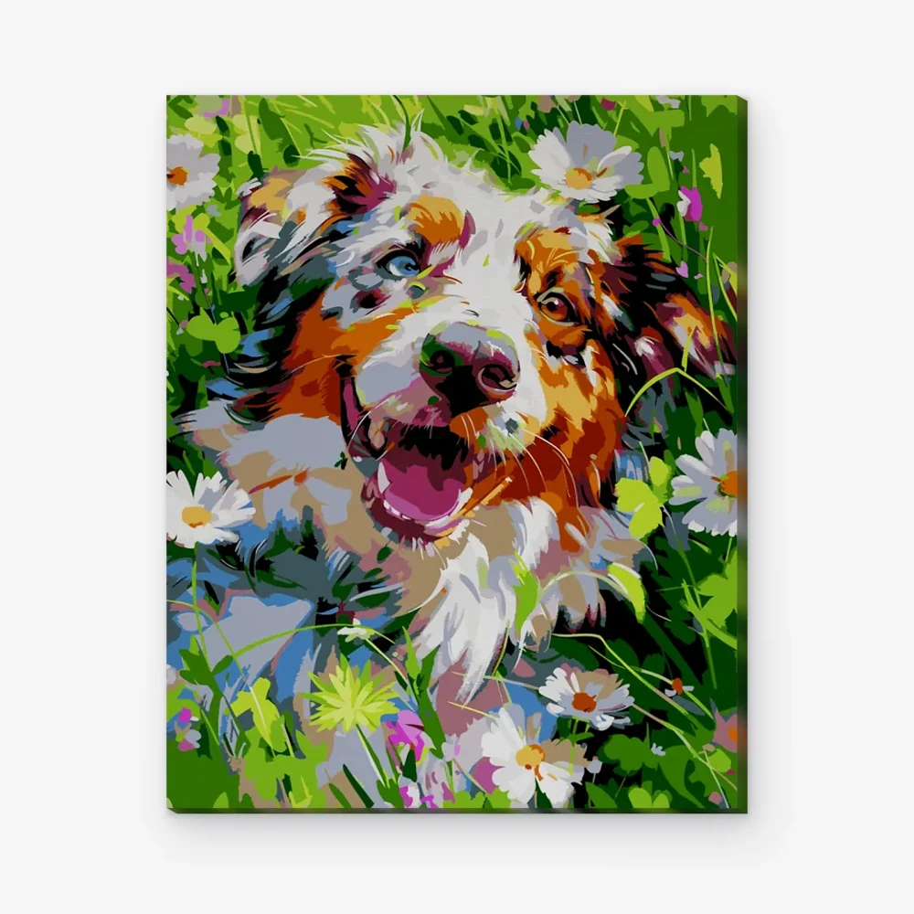 Pintar por Números - Campo australiano