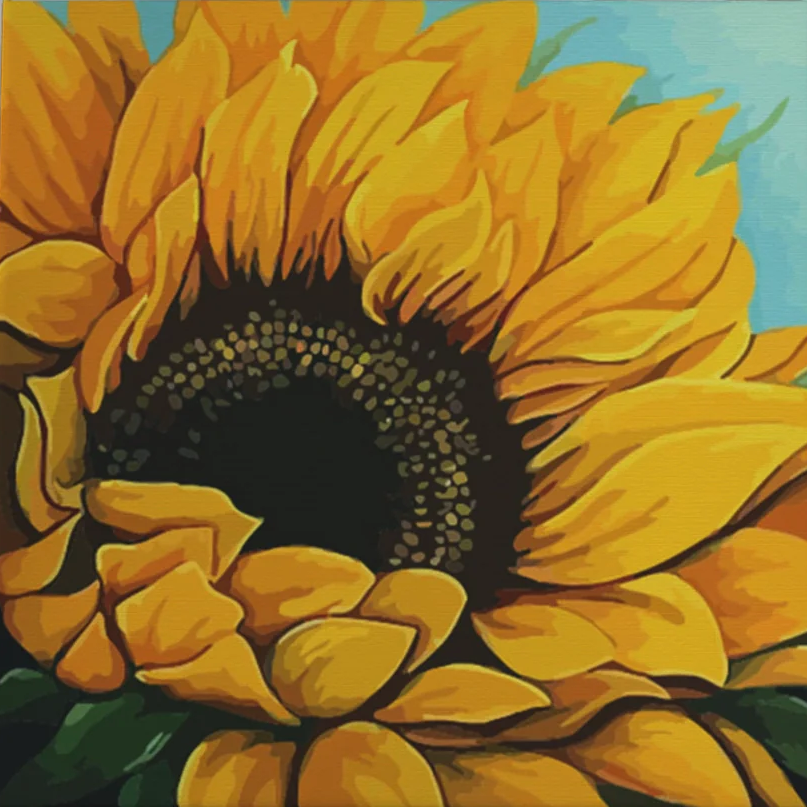 Pintar por Números - Frente al sol