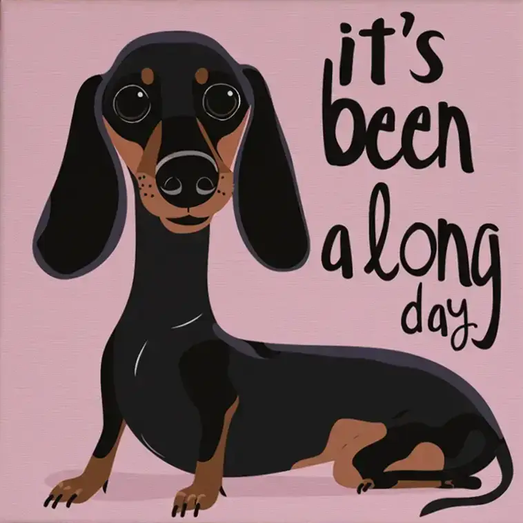 Pintar por Números - Ha sido un largo día