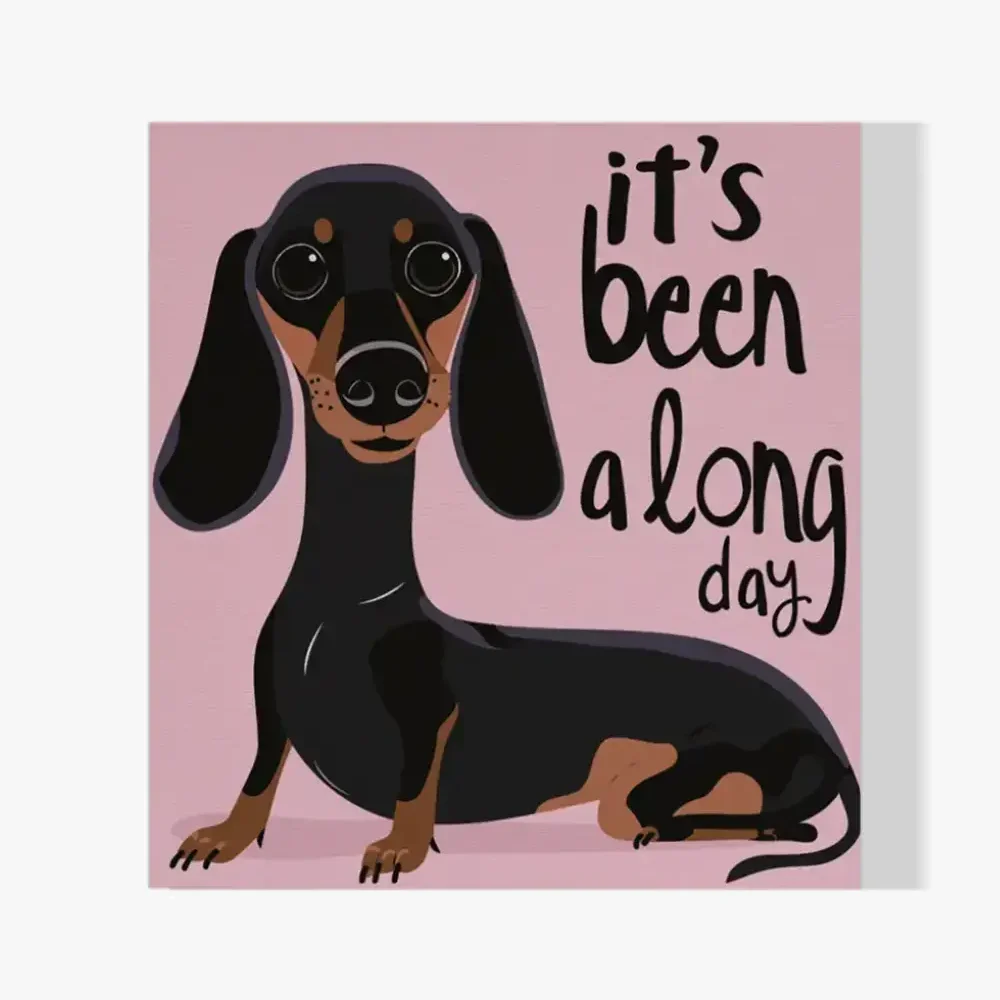 Pintar por Números - Ha sido un largo día