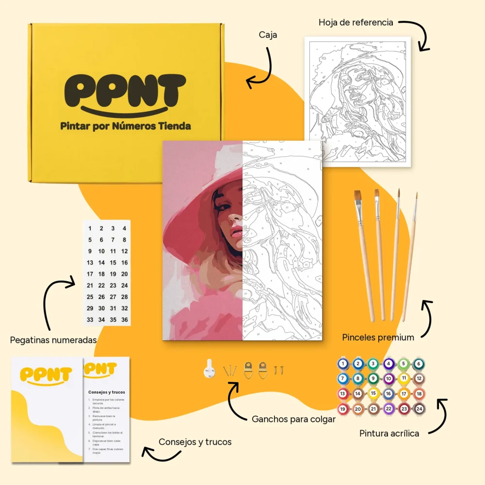 Pintar por Números - Clase