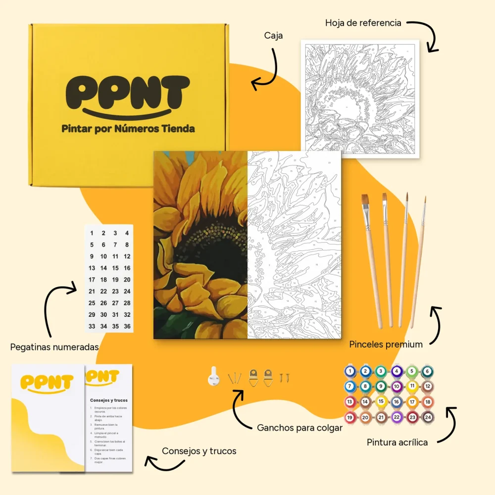Pintar por Números - Frente al sol