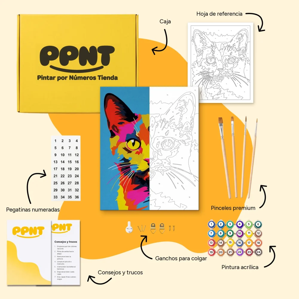 Pintar por Números - Gato abstracto pop art