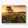 Pintar por Números - Puesta de sol sobre un campo de flores
