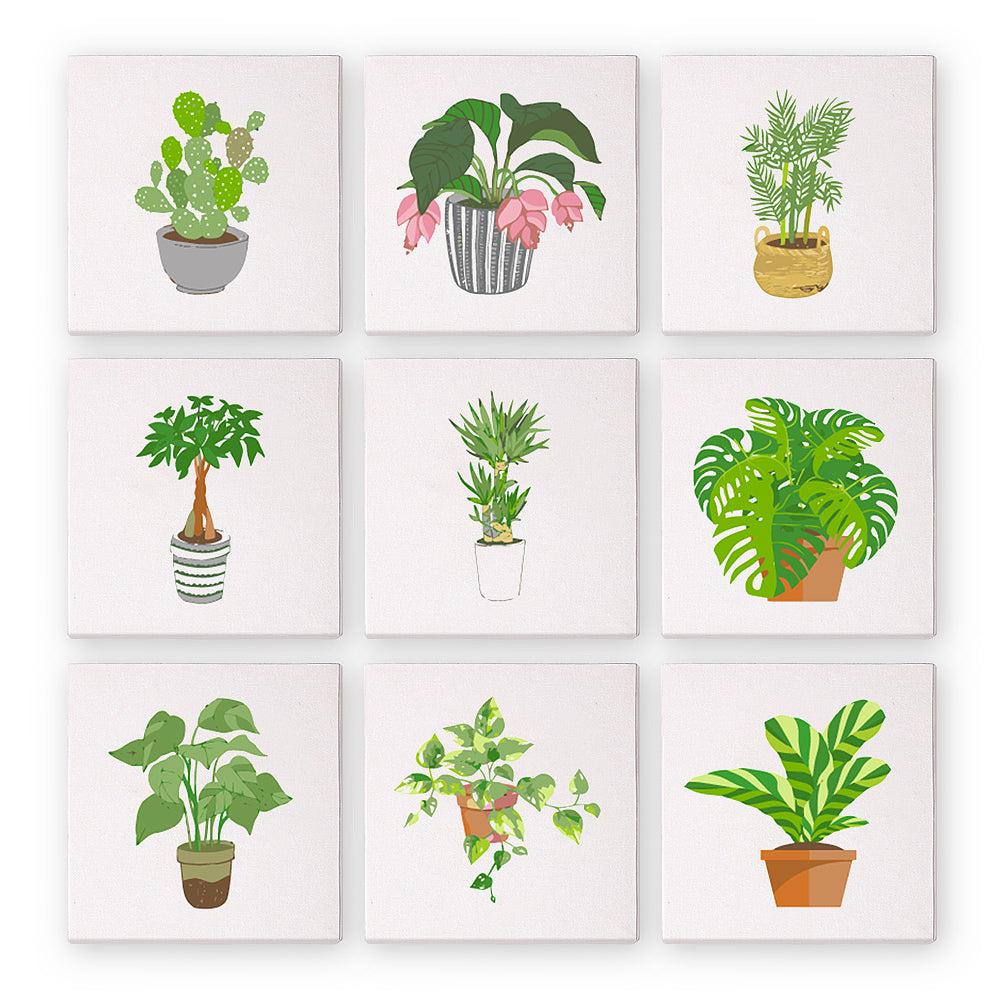 Pintura sobre números - 9 mini pinturas | Conjunto de plantas de interior