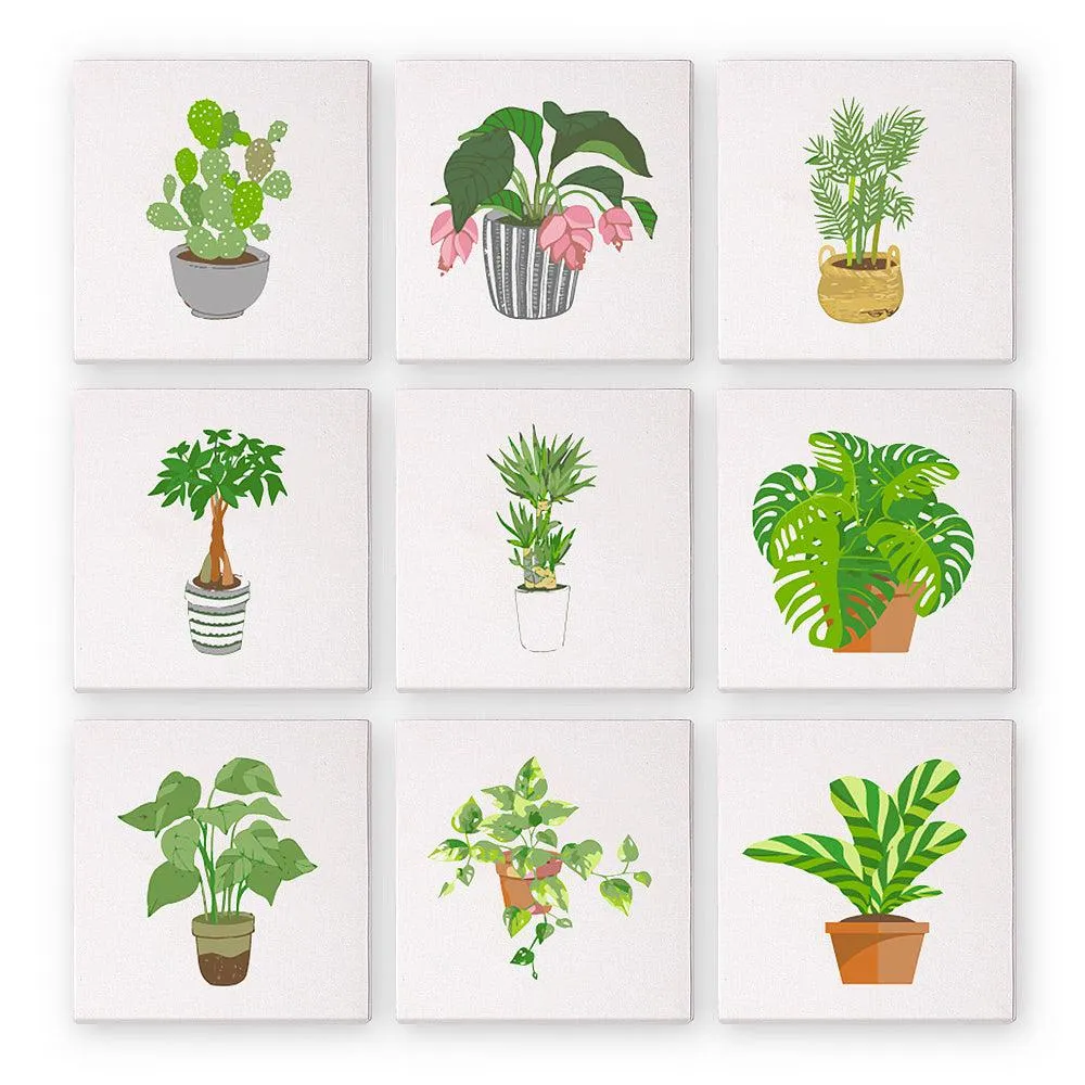Pintura sobre números - 9 mini pinturas | Conjunto de plantas de interior, foto 1