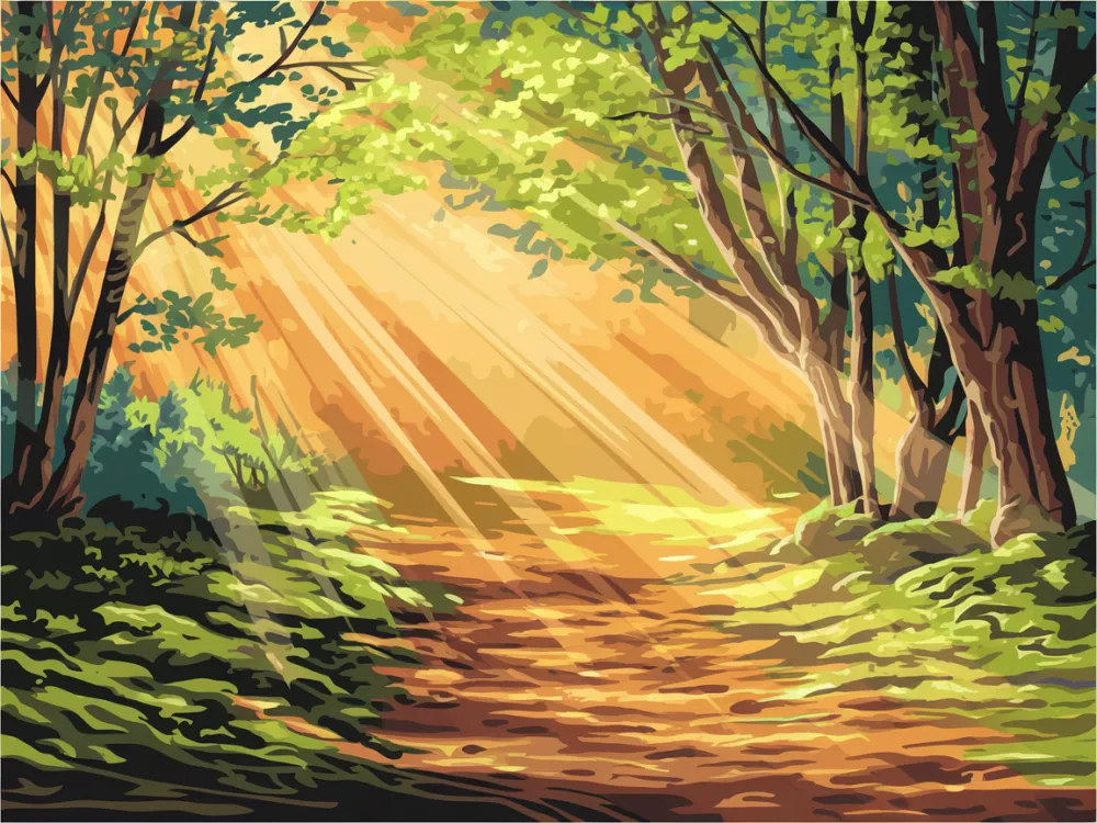 Pintar por Números - Camino forestal con la luz del sol filtrándose entre los árboles, foto 2